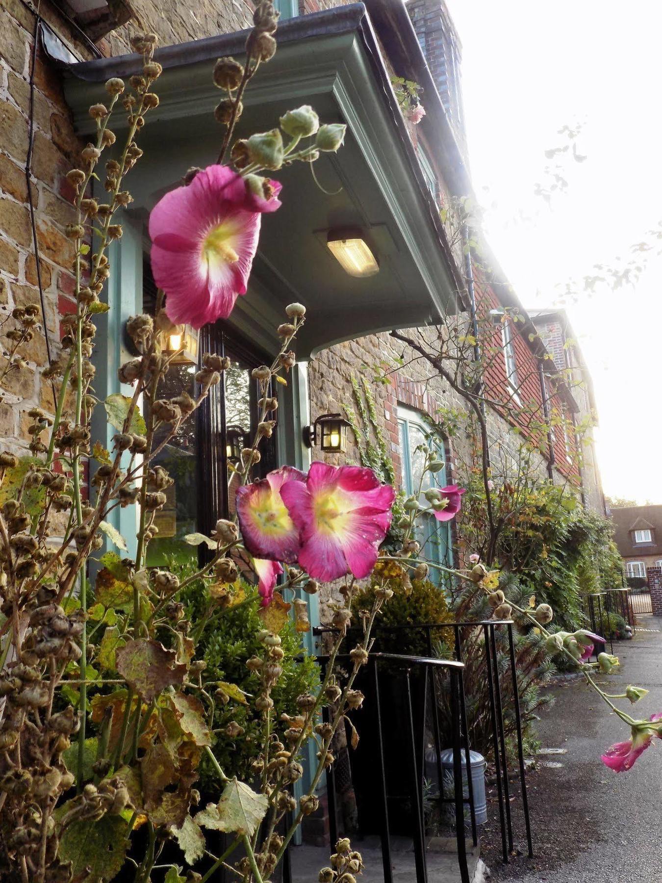 The Angel B&B Chichester Ngoại thất bức ảnh